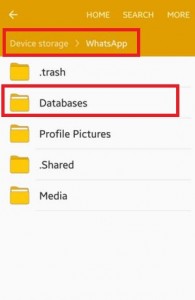 Tap on Database option