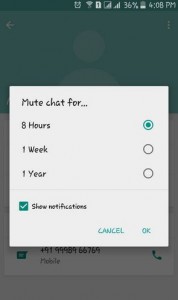 how to Mute Chat on WhatsApp