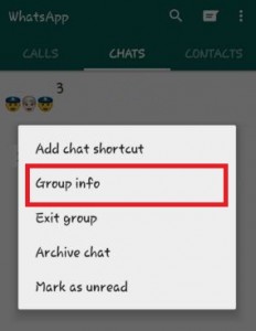 Tap on group info in WhatsApp group