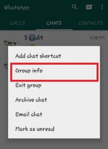 Tap on group info on WhatsApp