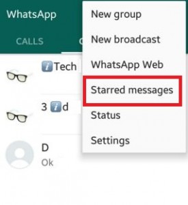 Tap on Starred messages
