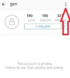 open-your-instagram-follower-profile
