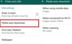 WhatsApp media files not download