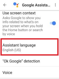 Assistant language settings in pixel
