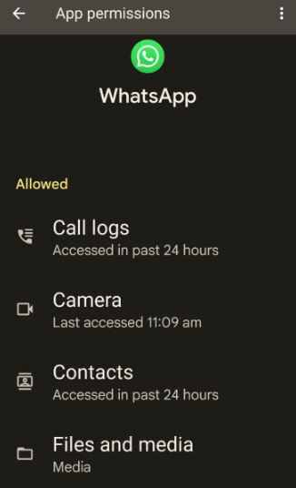 Check WhatsApp App Permissions