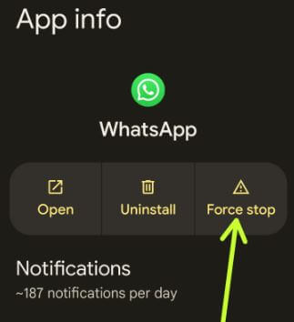 Force Stop WhatsApp Android