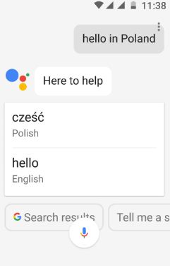 Google Assistant Rela time translation language