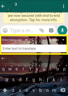 Enter text to translate one language to other