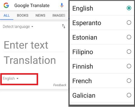 Google translate to change text language