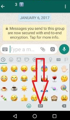 Tap GIF icon from bottom screen in WhatsApp