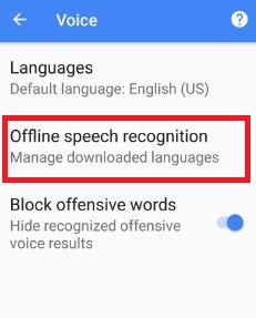 offline speech recognition settings in voice section