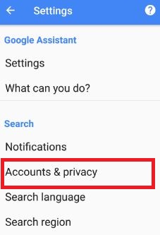 Accounts & privacy settings under search section in Google app