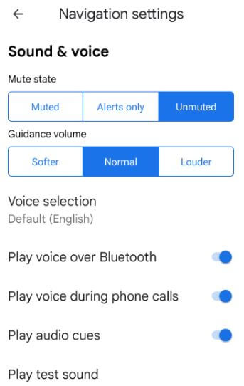 How do I Turn On Voice Direction on Google Maps