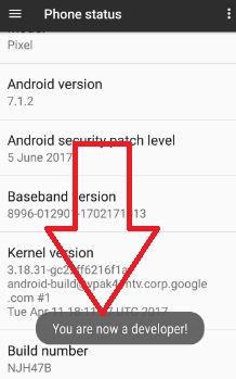 enable developer mode on Google pixel phone