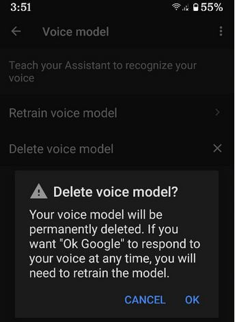 Ok Google Voice Command Not Working Android