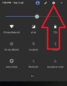 Tap settings gear icon on pixel to use gestures
