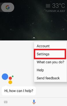 Tap settings on Google assistant launch
