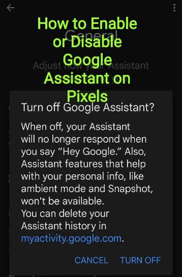 How to Enable or Disable Google Assistant on Pixel 6 Pro, Pixel 6, Pixel 5, Pixel 5a (5G), Pixel 4a (5G)