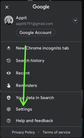 Open Google Assistant settings on Google App in Pixels