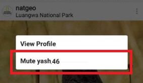 mute Instagram story on android phone