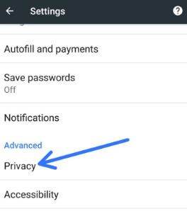Tap on privacy under advanced settings in Pixel
