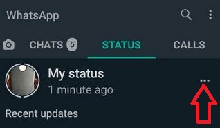 Delete WhatsApp status update on your Android