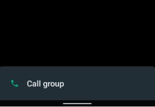 Group Conference Call on WhatsApp Android
