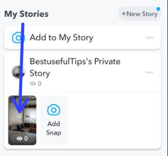 Snapchat Private Story Settings