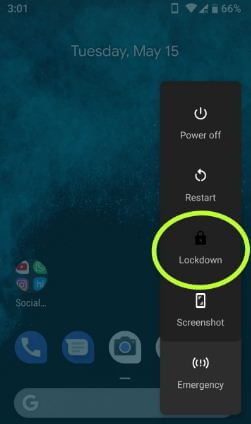 How to use lockdown in android P 9.0