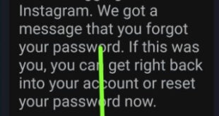 How to Delete an Instagram Account Without a Password or Email