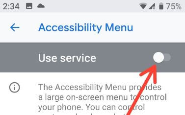 Use accessibility feature on android Pie 9
