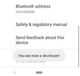 Activated Developer mode on android Pie devices