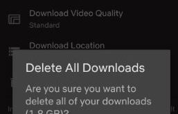 How to delete downloaded Netflix movies from Android