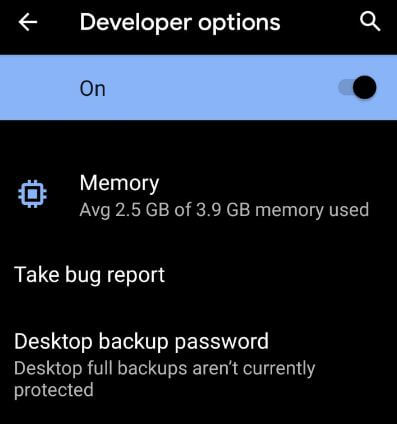 Android Q developer mode settings