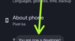 How to Turn On Developer Mode Android 13, 12, 11