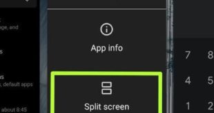Enable split screen in Android Pie 9
