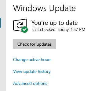 Stop Windows 10 updating