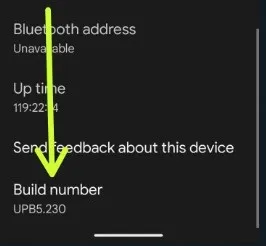 Tap the Build number 7 times to activate developer mode on Google Pixel 7 Pro