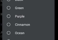 Android Q Beta 4 accent colors