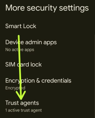 Use Google smart lock settings on Pixels
