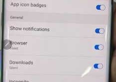 How to disable app notifications on Galaxy Note 10 plus