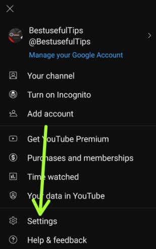 Tap Settings on YouTube to open History and Privacy