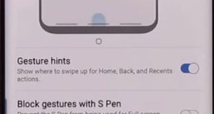 How to hide navigation bar on Galaxy Note 10 Plus