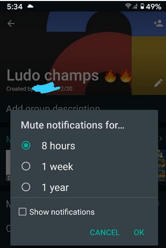 Mute Notification on WhatsApp Group Android Phone and Tablet