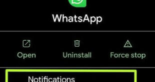 Mute notifications on WhatsApp group Android