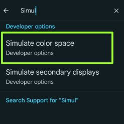 Search Simulate Color Space on developer mode settings Android