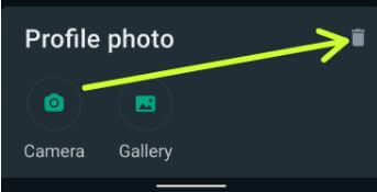 Delete Profile Photo WhatsApp Android