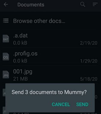 Send picture as docs in WhatsApp Android