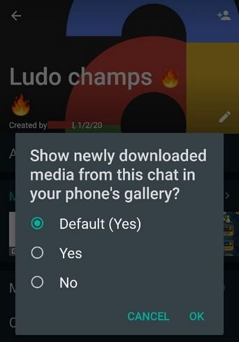 Stop Auto Download Group Media From Phone's Gallery on Android Devices