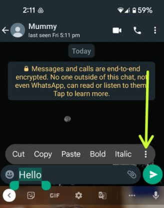 How Do I Style Text on WhatsApp Android